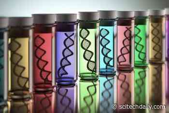 Scientists Find the Genetic Origin of Our Senses