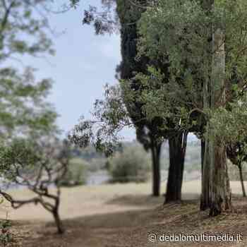 Enna – Prefettura. Focus sulla sostenibilità ambientale a Villa Zagaria - Dedalomultimedia