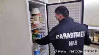 Parma, sicurezza alimentare: diffidati quattro ristoranti dopo le ispezioni dei Nas - il Resto del Carlino