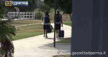 Mercato Parma: Francesco Forte un nome per l'attacco - Video - Gazzetta di Parma