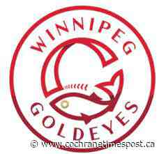 Goldeyes take bite out of Lincoln Saltdogs - Cochrane Times Post