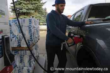 St. Albert teacher faces more sex charges - Mountain View TODAY