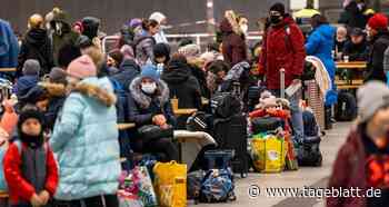 Flüchtlingsrat fordert Gleichbehandlung aller Schutzsuchenden - TAGEBLATT: Nachrichten aus Stade, Buxtehude und der Region - Tageblatt-online
