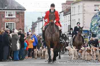 Tanatside Hunt, which runs Welshpool's Boxing Day Hunt, disbands - The National Wales
