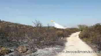 A Manduria 50 ettari di macchia mediterranea andati in fumo, evacuato un campeggio - La Voce di Manduria