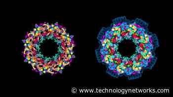 Complex Architecture of “Molecular Giant” Understood in Greater Detail Than Ever Before - Technology Networks