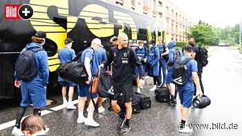 Dynamo Dresden: Fan-Beschluss! Diese Farbe ist jetzt verboten - BILD