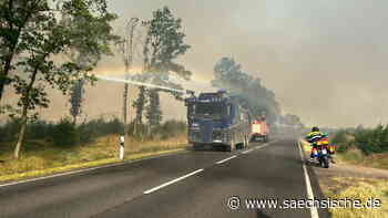Brandgeruch in Dresden: Feuerwehr sieht Zusammengang mit Waldbrand in Treuenbrietzen (Brandenburg) - Sächsische.de