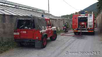 Pascoli senz’acqua, vigili del fuoco portano 5mila litri per salvare cento capre - Genova24.it