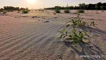 Siccità, oltre cento comuni verso il razionamento dell'acqua: cosa si può fare - Today.it