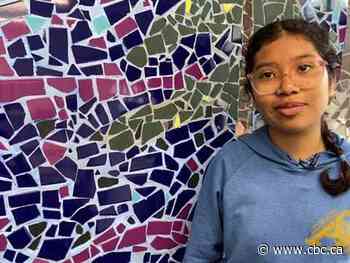 Edmonton school mosaic symbolizes Canadian diversity