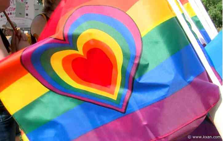 Gay Republican group blasts 'crazy people' Texas GOP for anti-LGBT platform