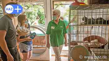 Hemmingen: Verein Hände für Pfoten aus Arnum feiert Sommerfest - HAZ