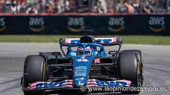 Fernando Alonso: "La suerte no nos acompañó" - La Opinión de Zamora