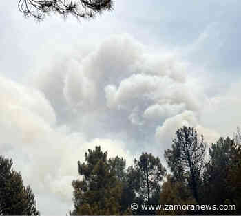 Ante el mayor fuego de la historia de Zamora, la mayor ineptitud demostrada - Zamora News