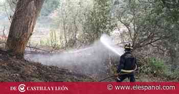 Hombro con hombro en la lucha contra el fuego: Zamora no está sola en el incendio de la Sierra de la Culebra - EL ESPAÑOL