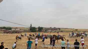 Guarrate, espantes a todo trapo - La Opinión de Zamora