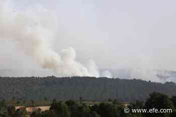 El incendio de Zamora sigue sin control y obliga a evacuar ocho pueblos - Agencia EFE