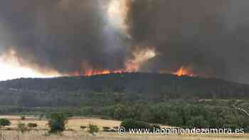Nuevo incendio forestal declarado en Zamora: en Ayoó de Vidriales - La Opinión de Zamora