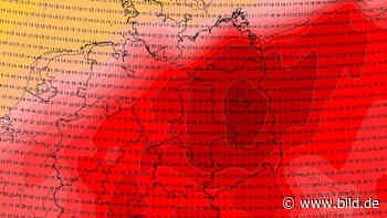 Wetter: Dresden kratzt an der 40-Grad-Marke - BILD