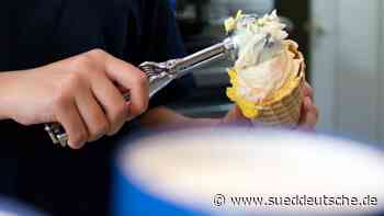 Firmen in Sachsen nutzen Ferienjobs zur Fachkräftegewinnung - Süddeutsche Zeitung - SZ.de