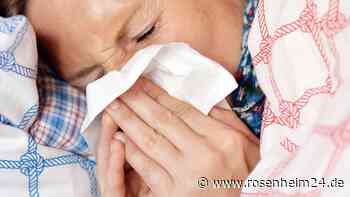 Sommergrippe legt Wasserburg lahm: Das sind die Ursachen