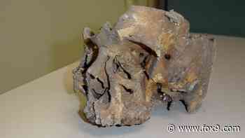 DNA puts police closer to cracking mystery of the Spring Grove skull - FOX 9 Minneapolis-St. Paul