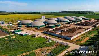 Biogas supply chain emissions found to be higher than fossil fuel equivalent