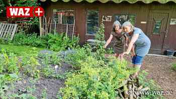 Witten: Gäste genießen Besuch in der grünen Oase - WAZ News