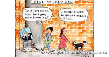 The Echidna: More government, less politics is energising - Gloucester Advocate