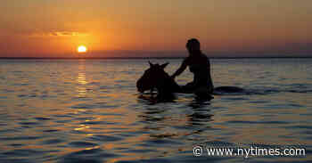 A Herd in Exile: Riding Horses on Mozambique’s Bazaruto Archipelago