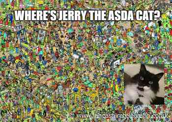 Where has Accrington Asda cat has been this month?