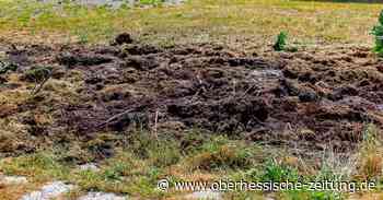 Kleinbrände im Altkreis Lauterbach - Oberhessische Zeitung