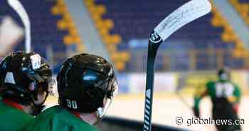 Early bodychecking doesn’t prevent hockey injuries: U of C study