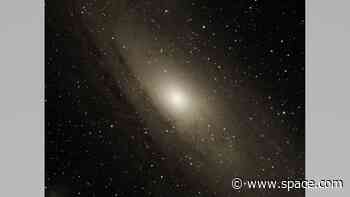 Andromeda galaxy bears scars of a catastrophic collision
