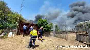 Incendio ad Ariccia, fiamme a ridosso della Nettunense: colonna di fumo nero si alza in cielo