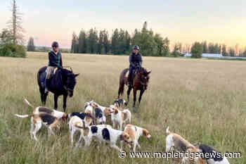 Still advocating for horse and rider – Maple Ridge News - Maple Ridge News