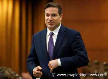 'Deepfakes' and disinformation should fall under online hate law: advisory panel – Maple Ridge News - Maple Ridge News