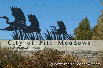 Artists, performers entertaining in Pitt Meadows parks – Maple Ridge News - Maple Ridge News