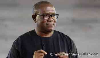 2023: Nigeria needs investment friendly personality like Peter Obi - Delta Bizman – The Sun Nigeria - Daily Sun