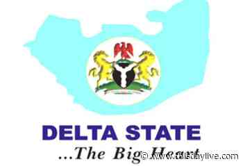 Delta Oil Community Carpets Chevron, NPDC over Polluted Water - THISDAY Newspapers