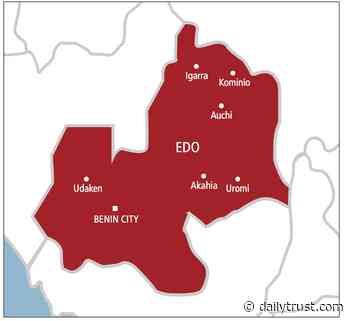 261 migrants receive IOM support in Edo, Delta - Daily Trust