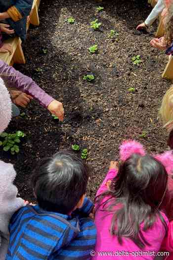 South Delta Garden Club welcomes master gardener as its next speaker - Delta Optimist