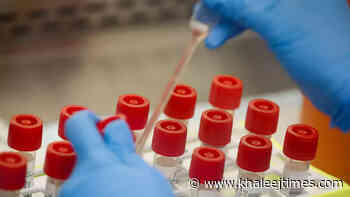 Coronavirus: UAE reports 1,532 Covid-19 cases, 1,591 recoveries, no deaths - Khaleej Times