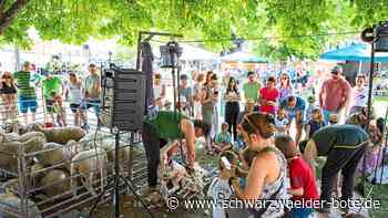 Schäferaktionstag Wildberg: Von der Schafschur bis zum Pullover