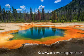 What Does a Year at Yellowstone Caldera Look Like?