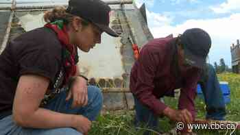 Traditional Indigenous hide tanning course helps community heal, says organizer