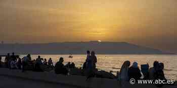 Los argelinos acusan al Gobierno de Pedro Sánchez: «Lo que ha hecho con el Sahara es una traición» - ABC.es