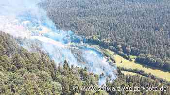 Großeinsatz der Feuerwehr: So wurde der Waldbrand in Bad Teinach ausgelöst