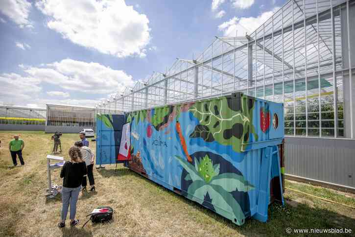 Mobiele waterzuivering strijkt neer bij Putse tomatenkweker: “Stelt land- en tuinbouwbedrijven in staat om beste methode te onderzoeken”